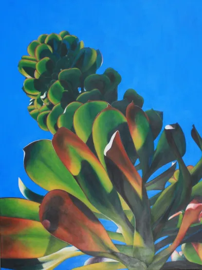 Admirationby Tara Esperanza, Oakland CA 