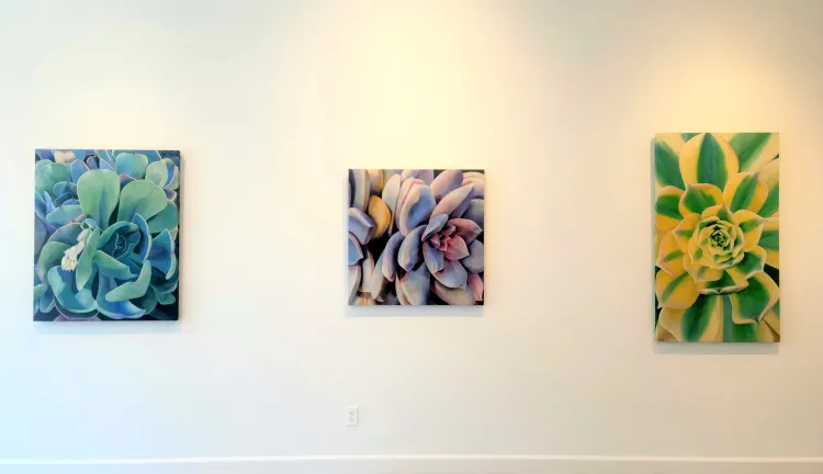 /assets/pics/THE_SUCCULENT_GARDEN_WALL_2.jpg