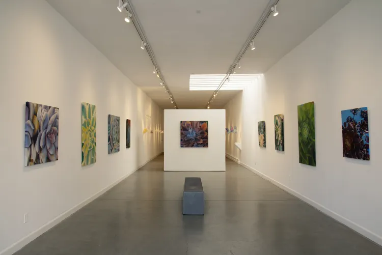 /assets/pics/The_Succulent_Garden_Center.jpg