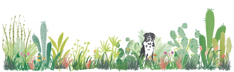 /assets/pics/flowerland-footer.jpg