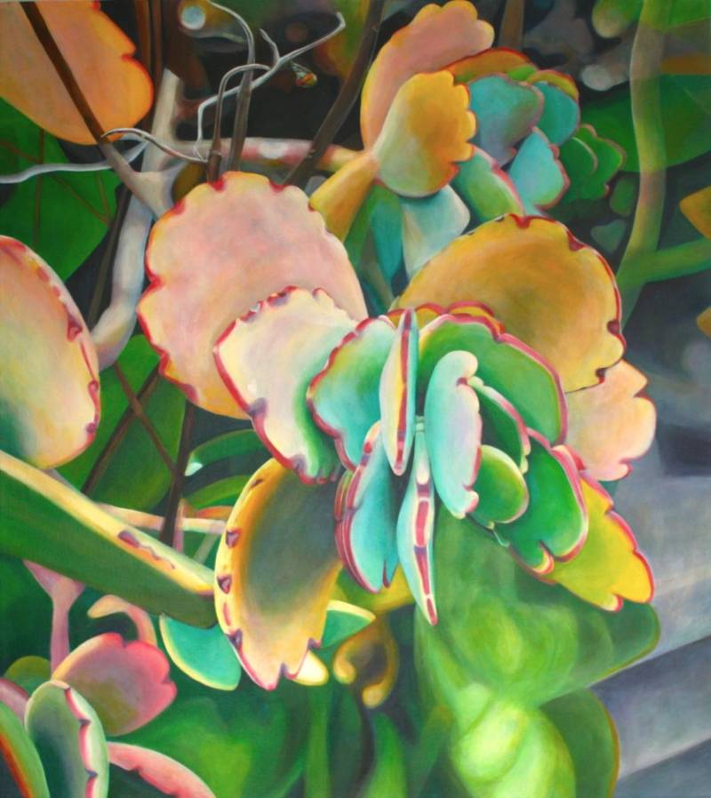 Dream of a Butterfly by Tara Esperanza Photo by Tara Esperanza