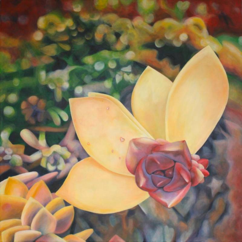 Surrounded by Love by Tara Esperanza