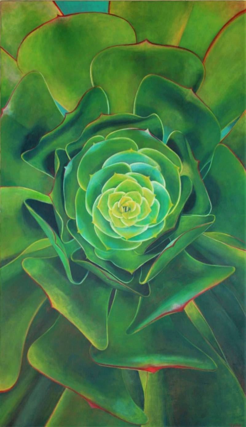 The Aeonium Heart by Tara Esperanza