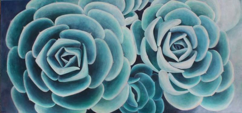 echeveria-imbricata.jpg by Tara Esperanza