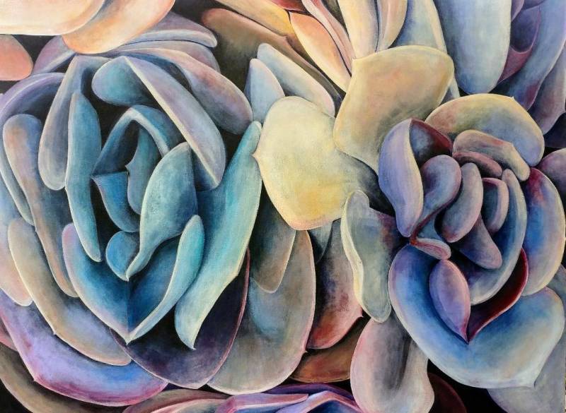 echeveria.jpg by Tara Esperanza