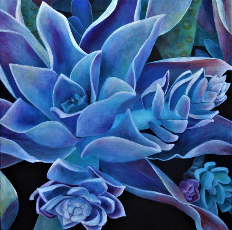 graptoveria.jpg by Tara Esperanza