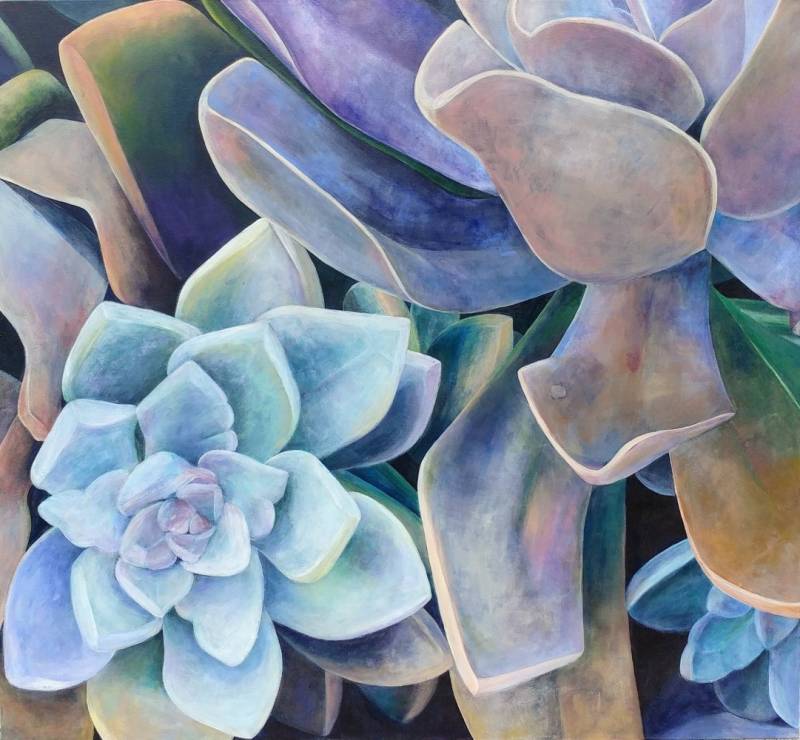 succulents-4.jpg by Tara Esperanza
