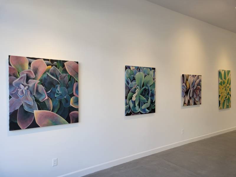 Gallery View