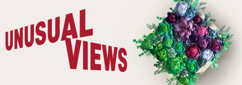 unusual-views.jpg