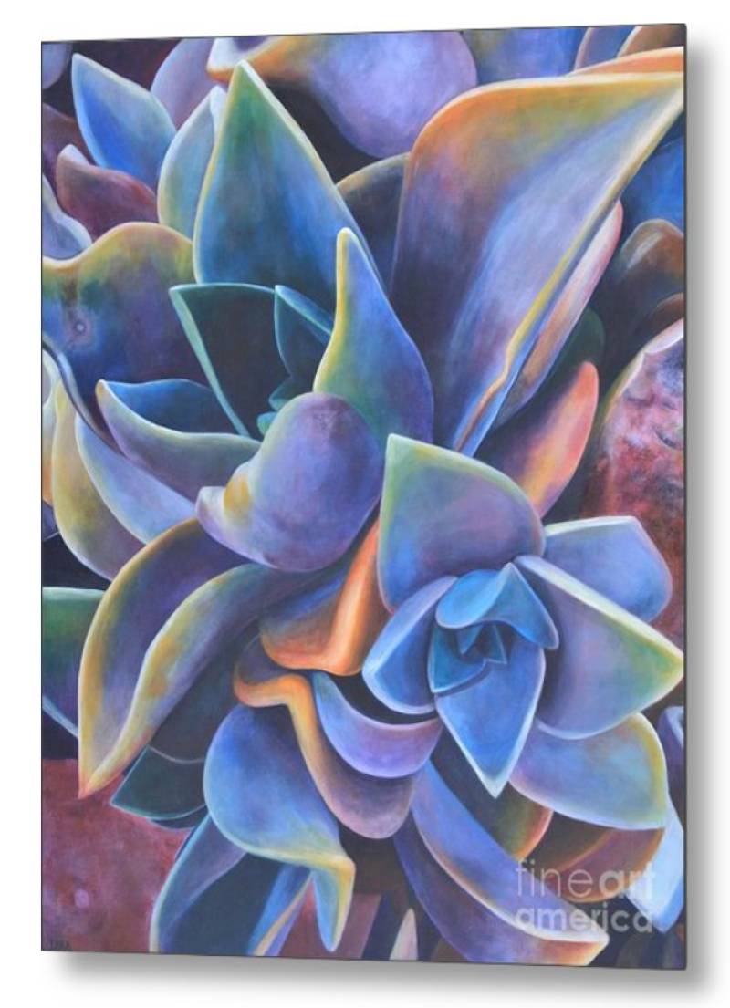 California Sunset Metal Print Succulents by Tara Esperanza | $266.00