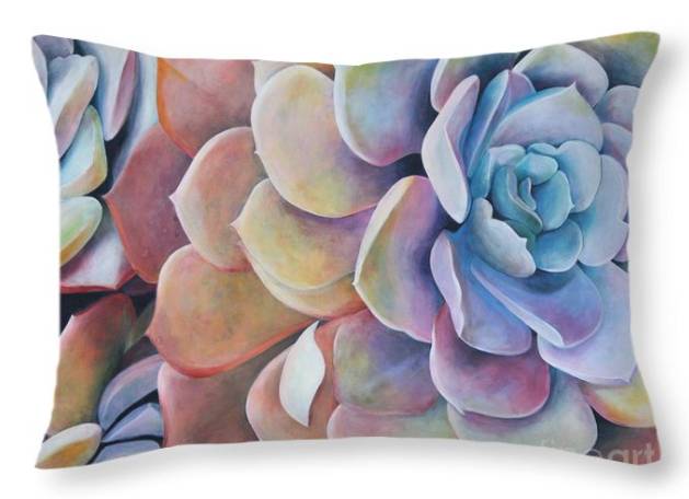 horizontal-pillow-rainbow-succulents.jpg Succulents 
