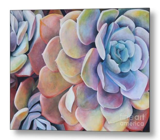 metal-print-rainbow-succulents.jpg Succulents 