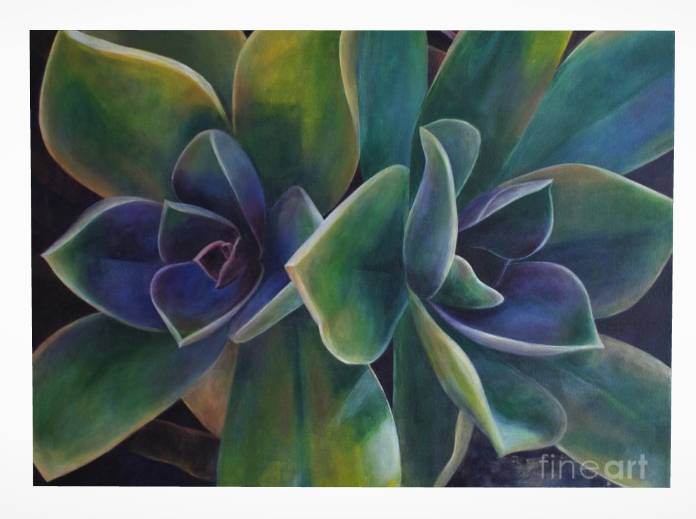 notecard-front-purple-and-green.jpg Succulents 